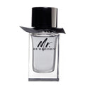 Burberry Mr. Burberry