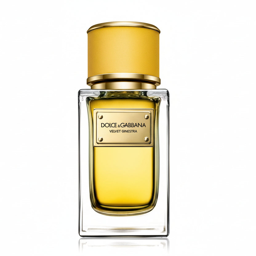 Dolce Gabbana Velvet Ginestra