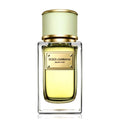 Dolce Gabbana Velvet Pure