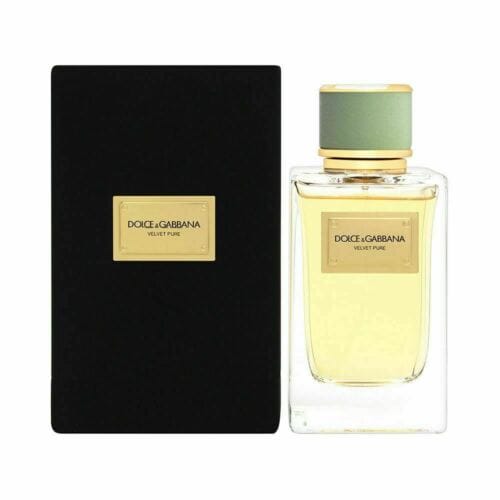 Dolce Gabbana Velvet Pure
