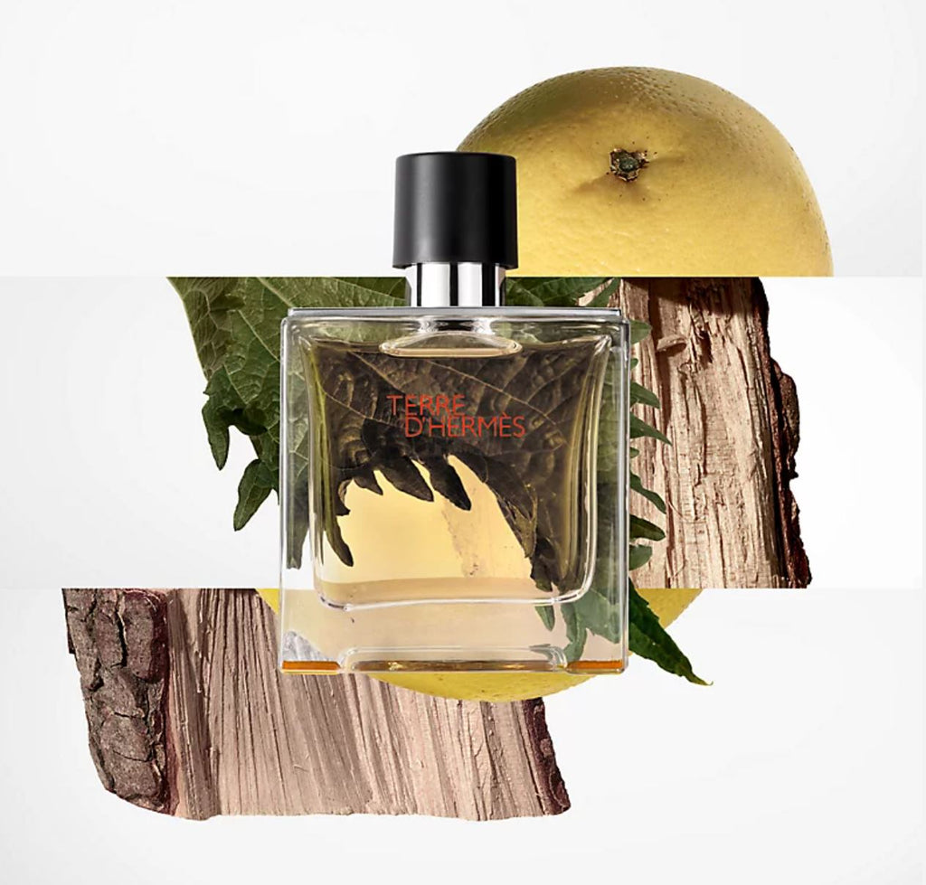 Hermes Terre D'Hermes Eau De Toilette Spray For Men