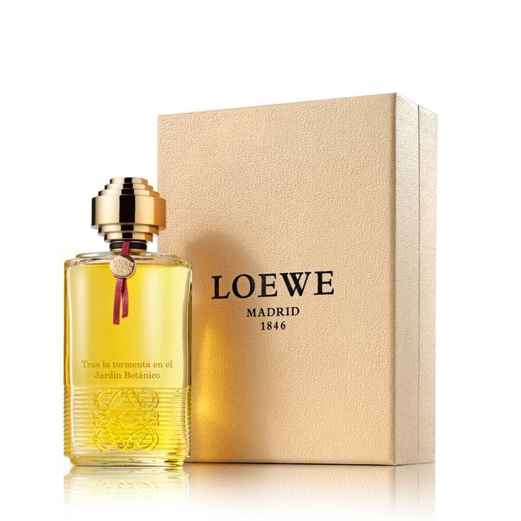 Loewe Tras la tormenta en el Jardín Botánico 3.4 Oz Edp