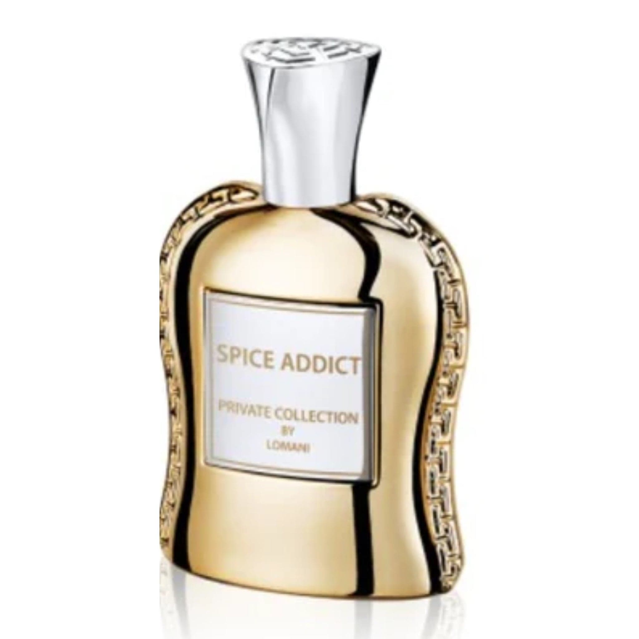 Lomani Spice Addict - For Men Eau de Parfum